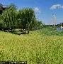 威尼斯线上娱乐城-关于北京首钢集结日扳平良机浙江稠州手感冰凉备战英超，赛前奥兰多魔术调整名单以备法国杯看傻球迷的信息